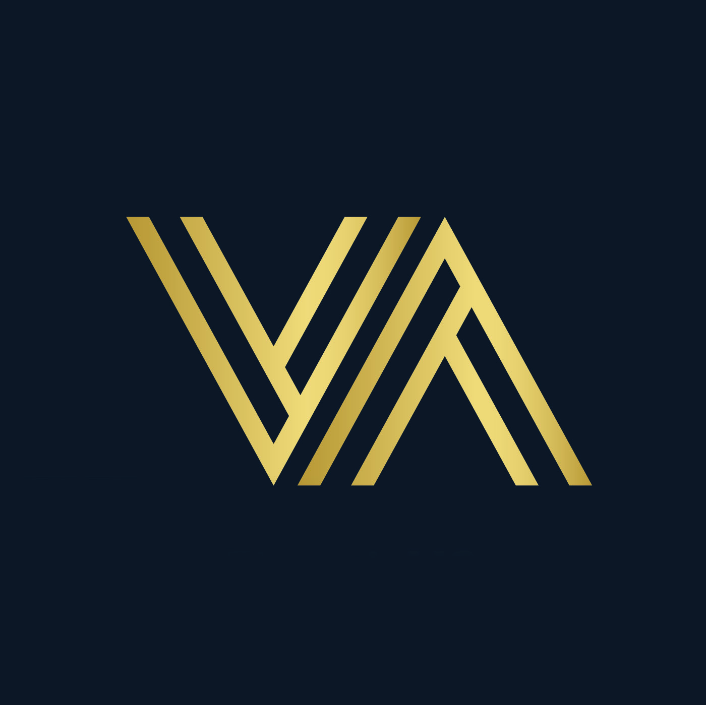 Vision Asset Group